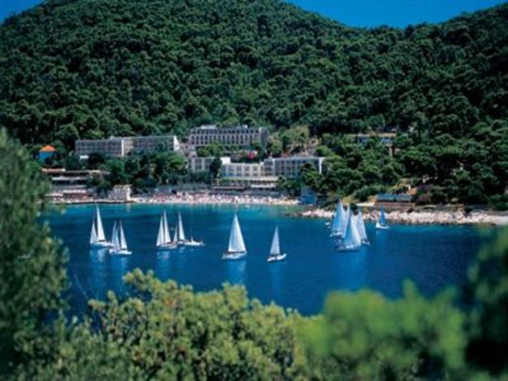 Apartments Petra Dubrovnik Exteriör bild
